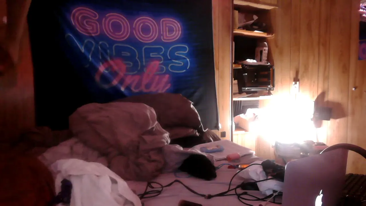 tsnitra webcam